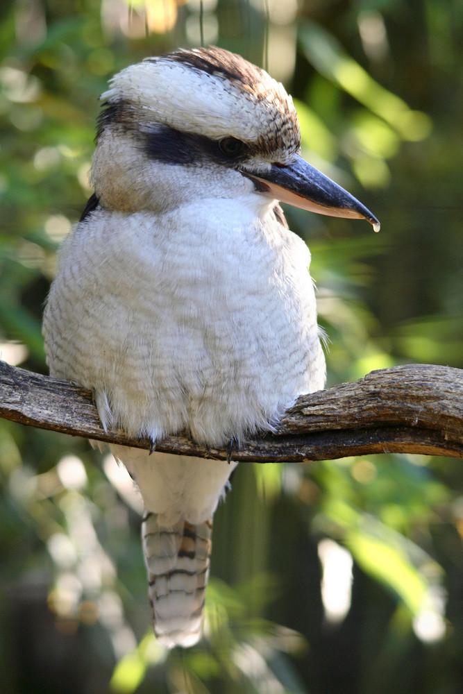 Foto de Girona (Cataluña), España