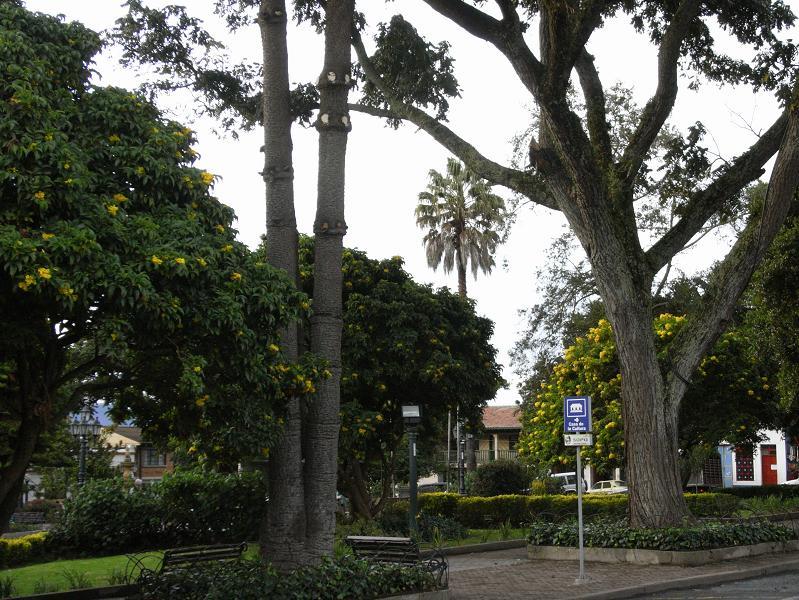 Foto de Sopo, Colombia