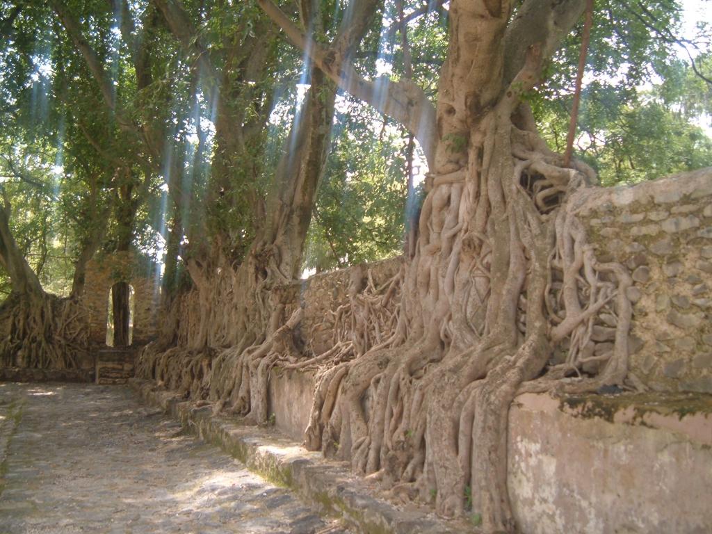 Foto de Gondar, Etiopía