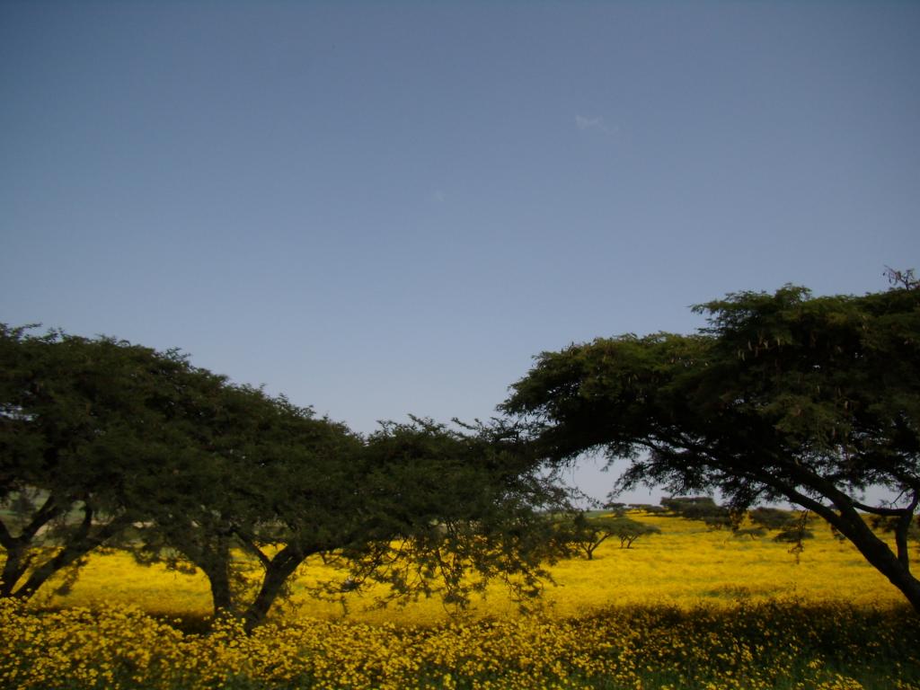 Foto de Gondar, Etiopía