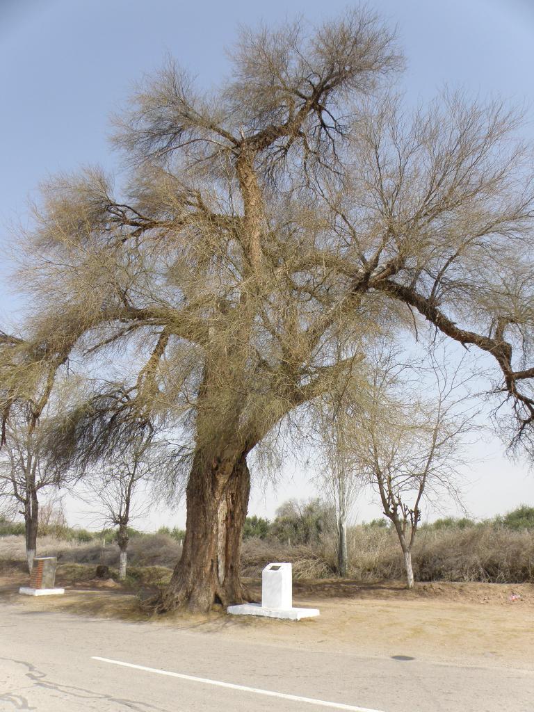 Foto de Huaco (San Juan), Argentina