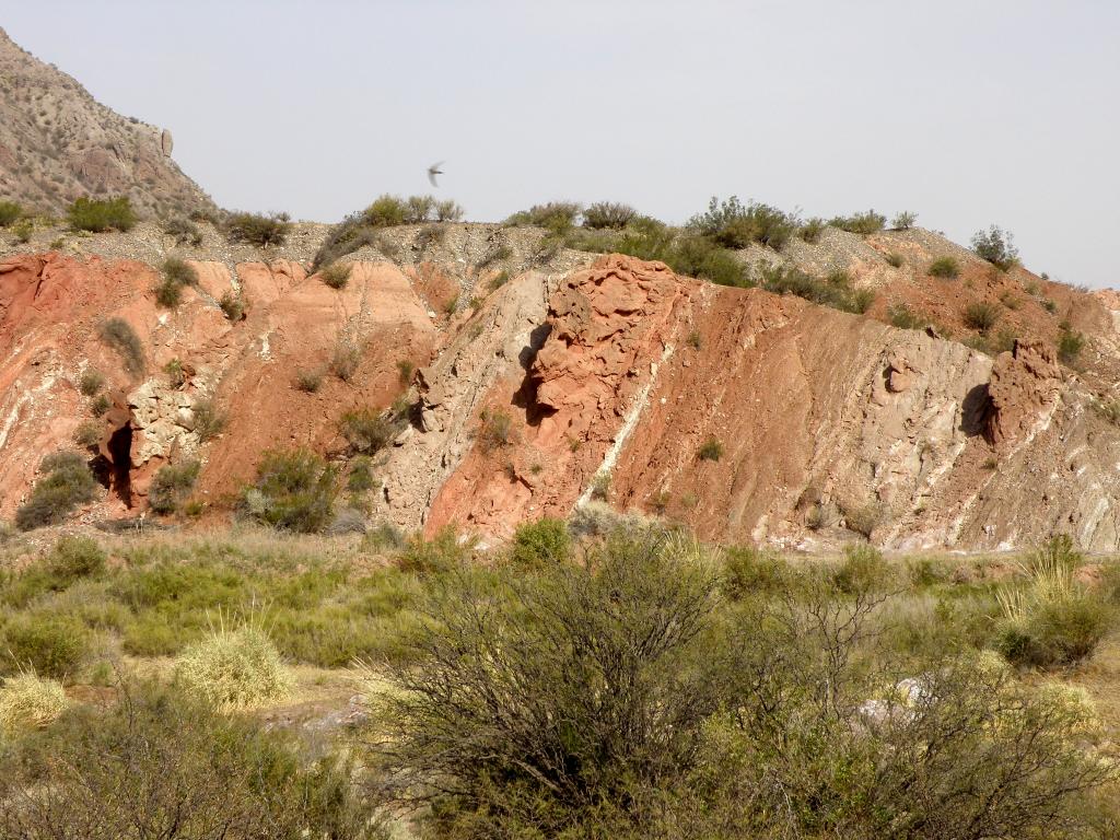Foto de Huaco (San Juan), Argentina