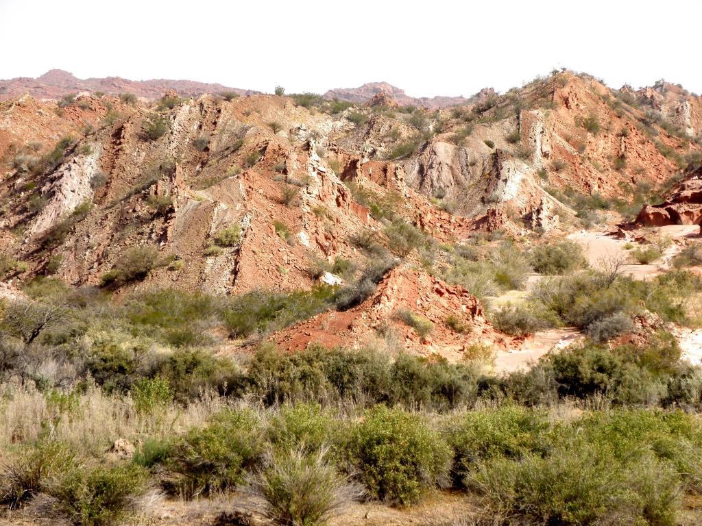 Foto de Huaco (San Juan), Argentina