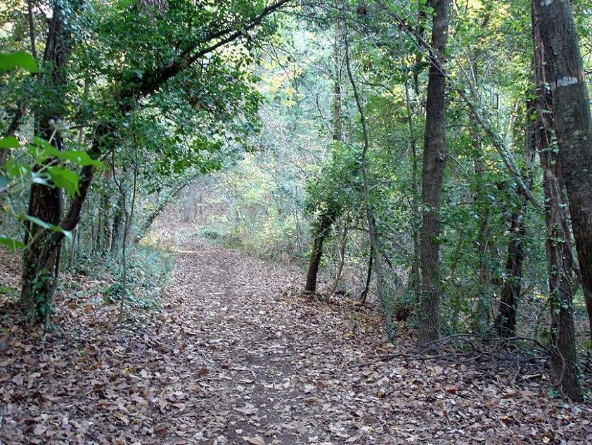 Foto de La Garrotxa (Girona), España