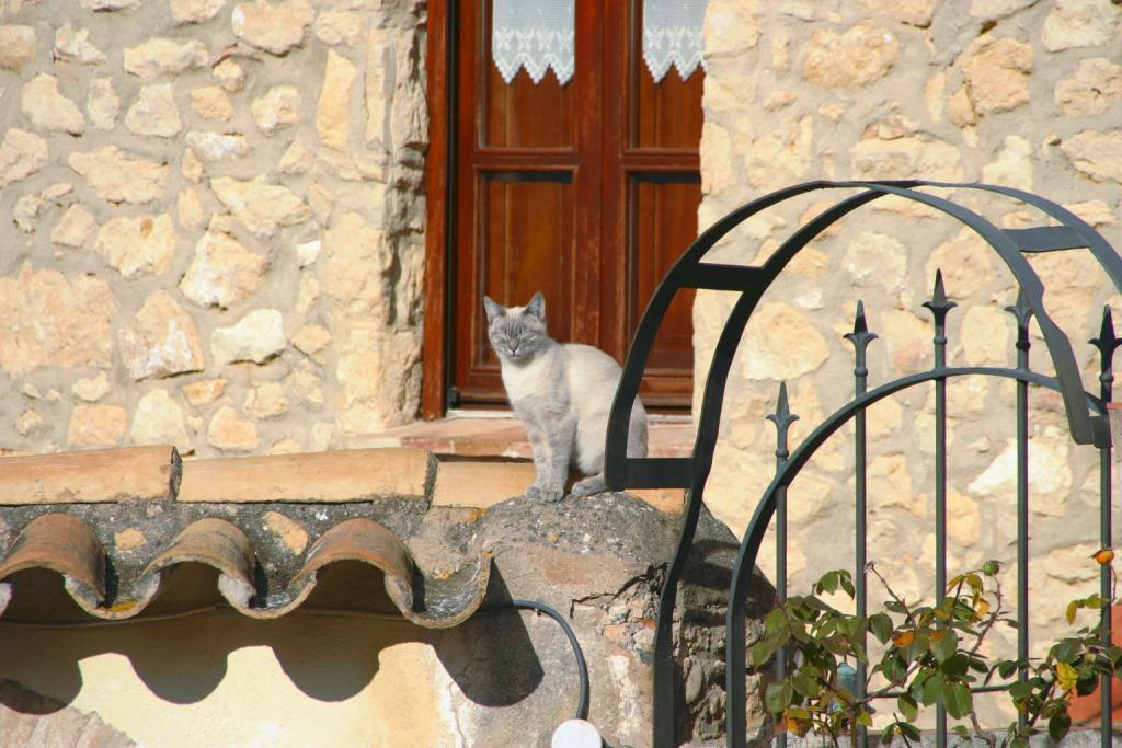 Foto de Castellet (Barcelona), España
