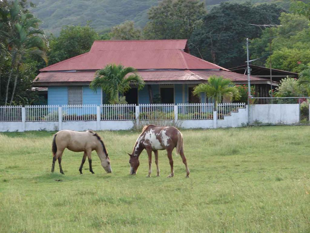 Foto de Santa Cruz (Guanacaste), Costa Rica