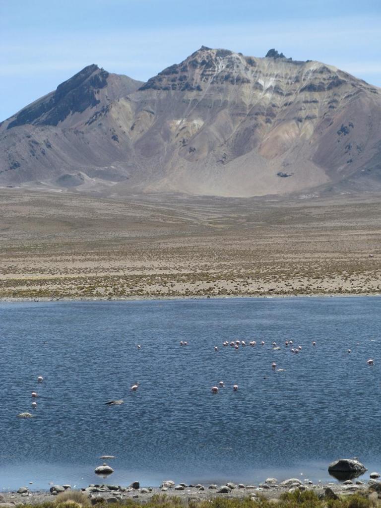 Foto de Parinacota, Chile