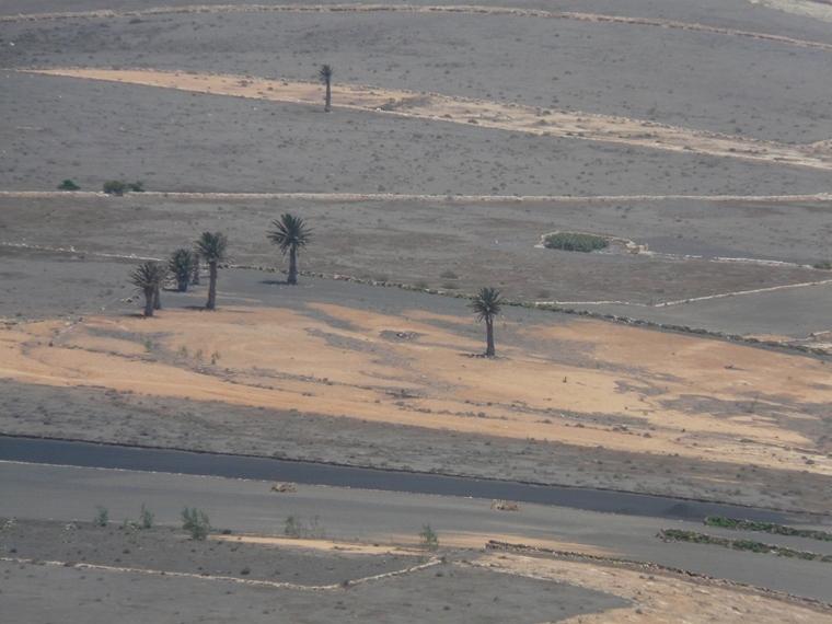 Foto de Lanzarote (Las Palmas), España