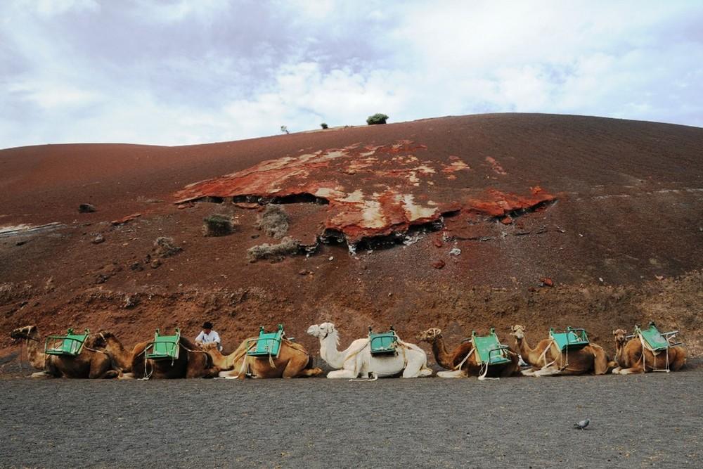Foto de Lanzarote (Las Palmas), España