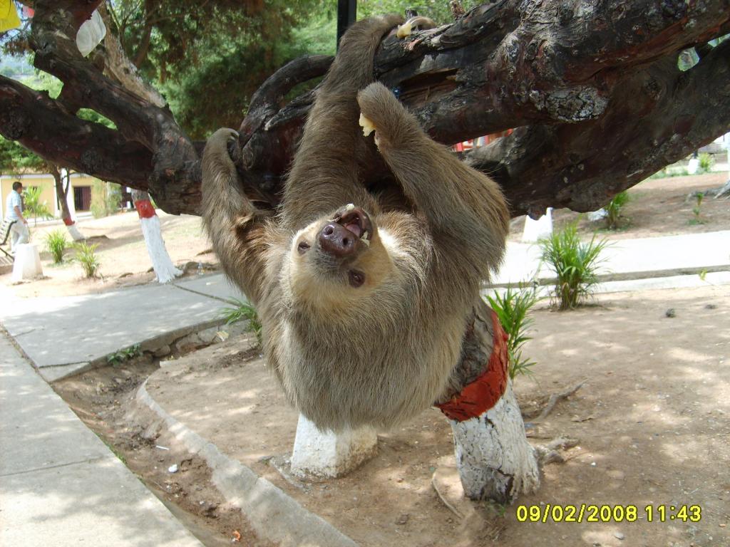 Foto de Escuque (Trujillo), Venezuela