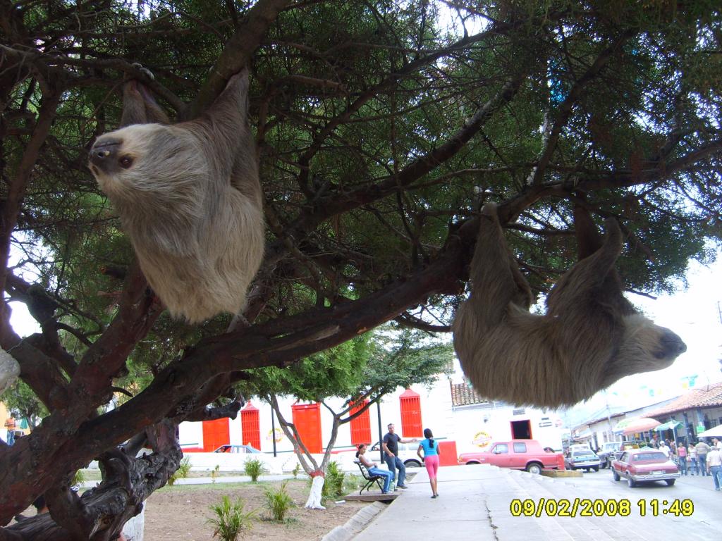 Foto de Escuque (Trujillo), Venezuela