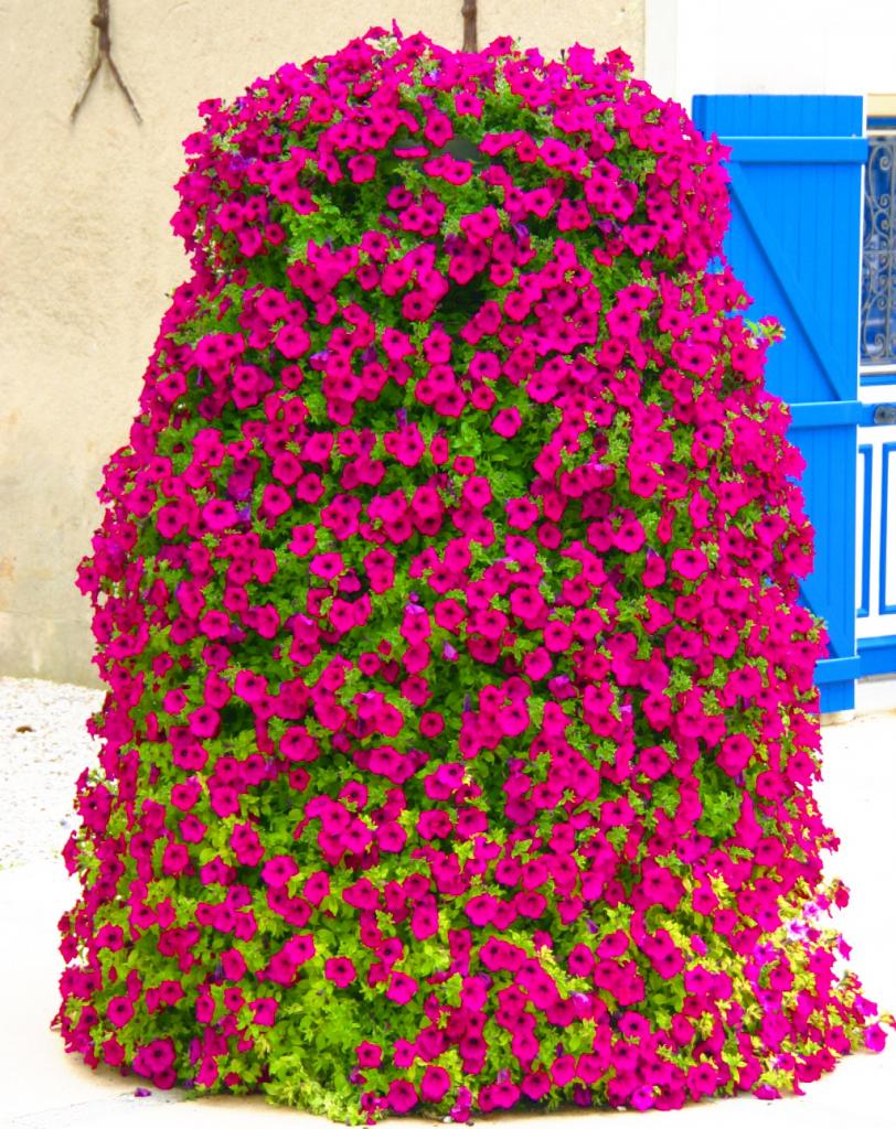 Foto de Arromanches-les-Bains, Francia