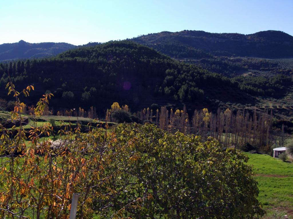 Foto de Bienservida (Albacete), España