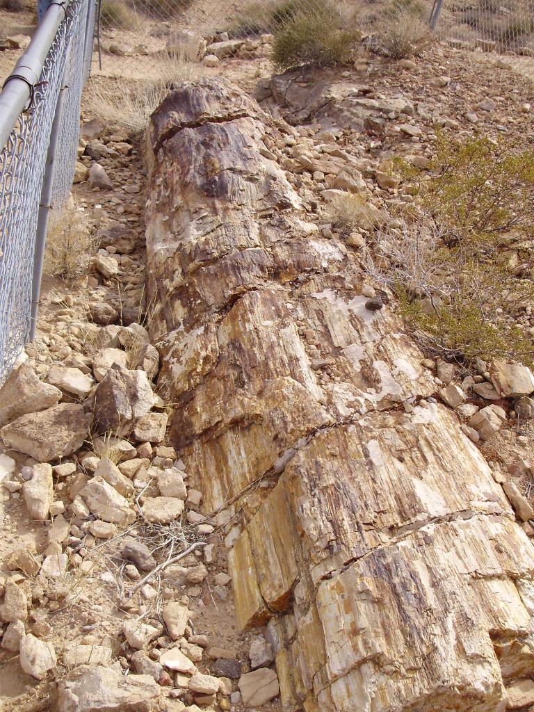 Foto de Valley of Fire (Nevada), Estados Unidos
