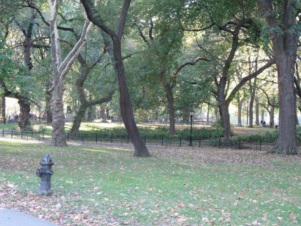 Foto de New york (New York), Estados Unidos