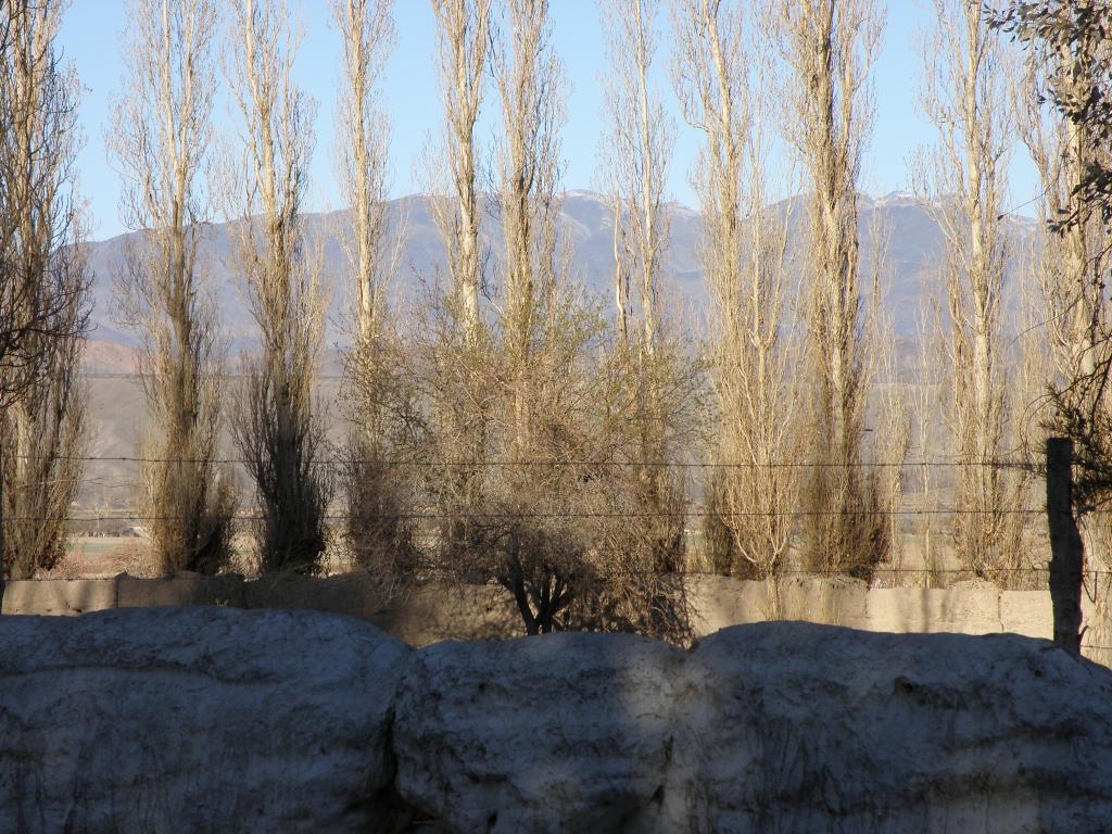 Foto de Angualasto (San Juan), Argentina