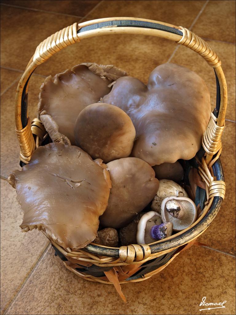 Foto de Alconchel de Ariza (Zaragoza), España