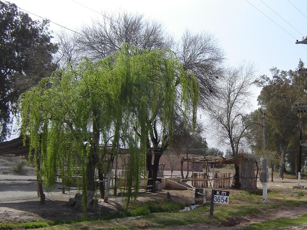 Foto de Huaco (San Juan), Argentina