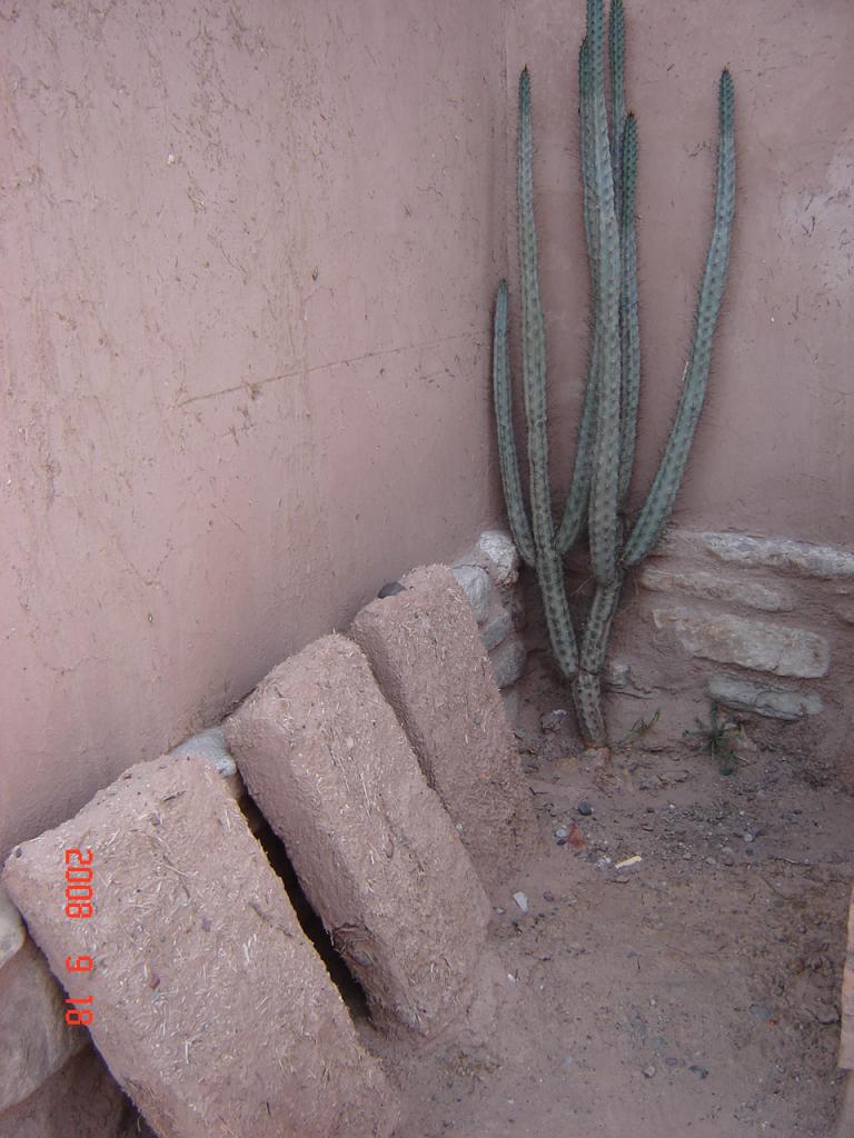 Foto de Huaco (San Juan), Argentina