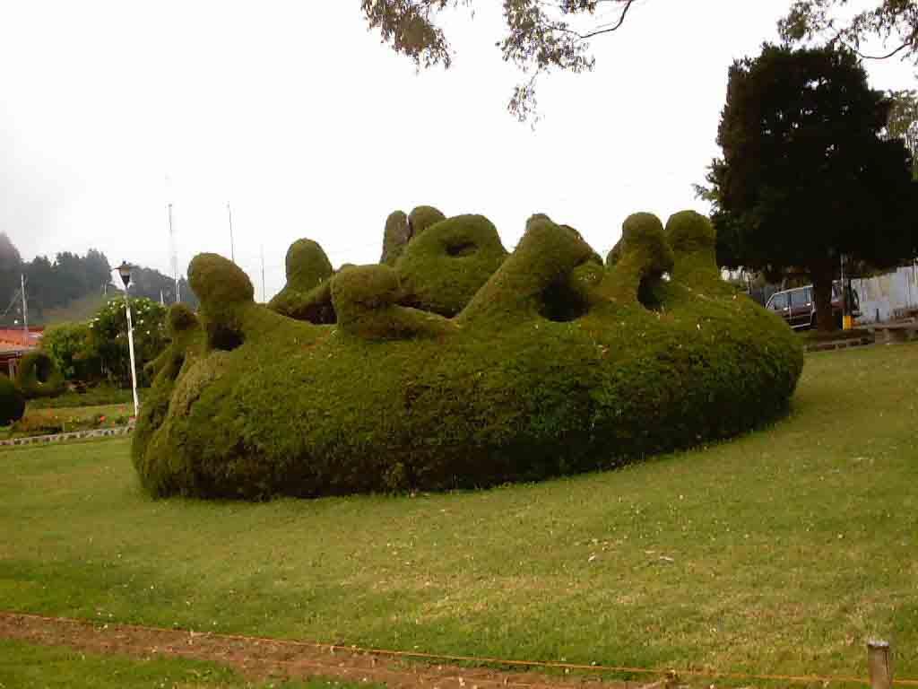 Foto de Alfaro Ruiz (Alajuela), Costa Rica