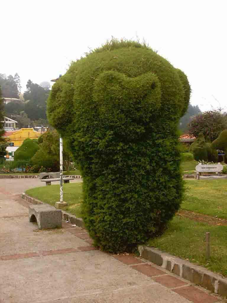 Foto de Alfaro Ruiz (Alajuela), Costa Rica