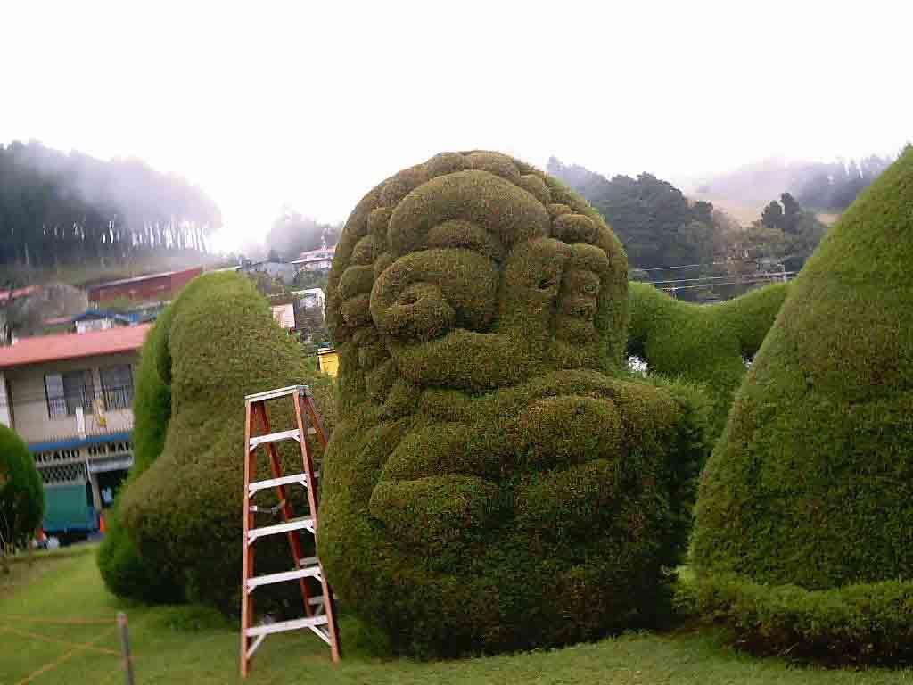 Foto de Alfaro Ruiz (Alajuela), Costa Rica