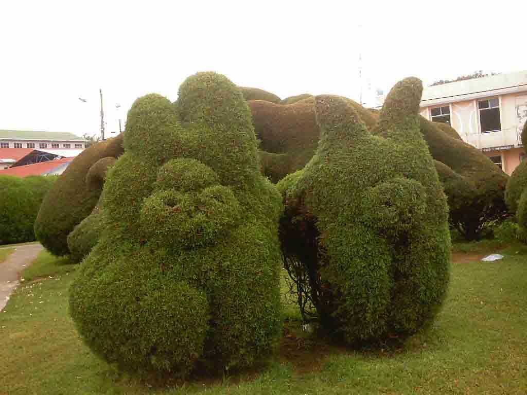 Foto de Alfaro Ruiz (Alajuela), Costa Rica