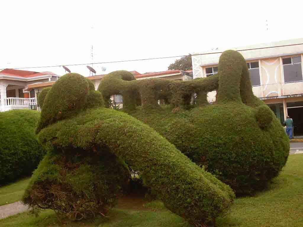 Foto de Alfaro Ruiz (Alajuela), Costa Rica