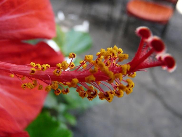 Foto de Lanzarote (Las Palmas), España