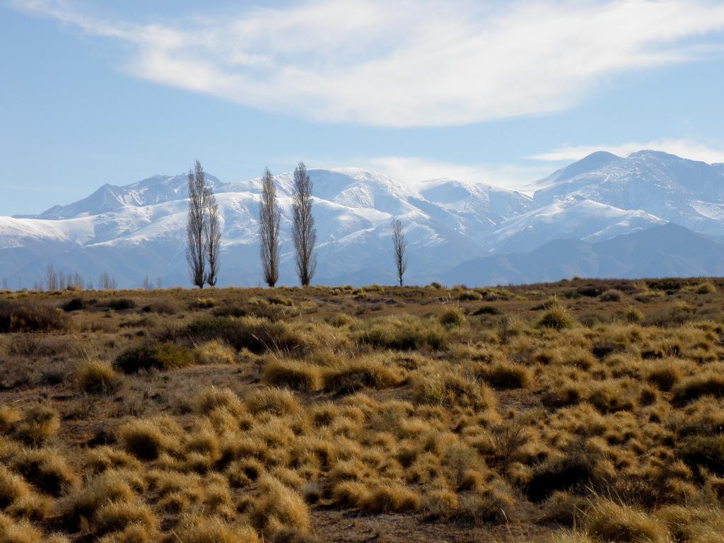 Foto de Iglesia (San Juan), Argentina