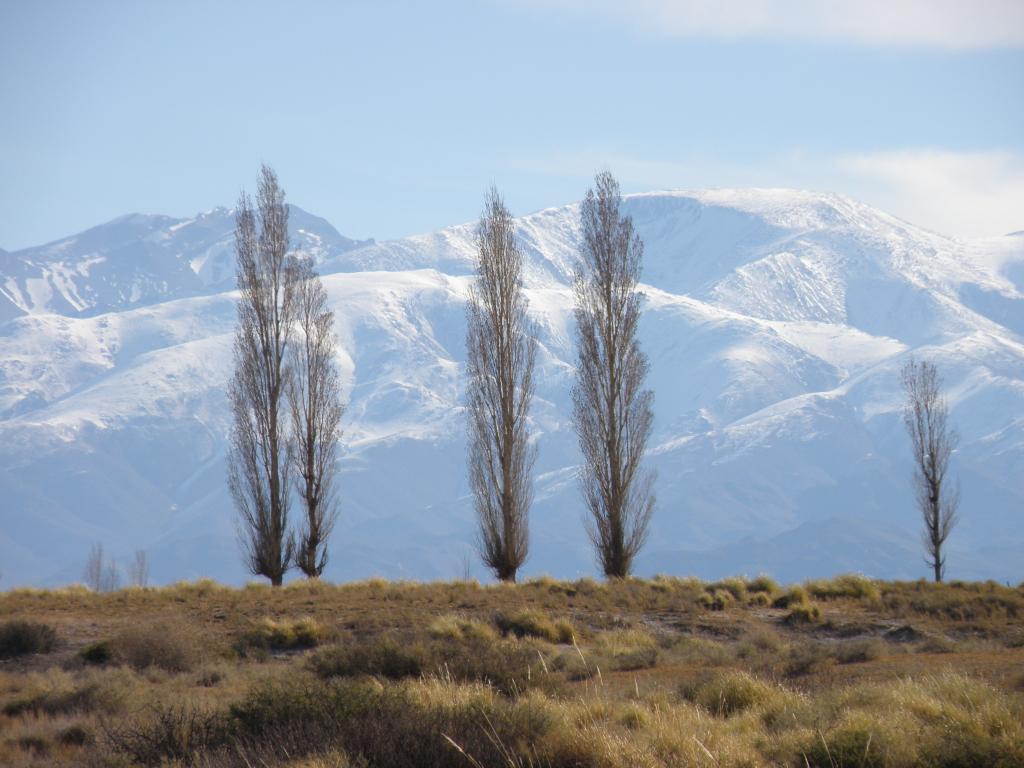 Foto de Iglesia (San Juan), Argentina