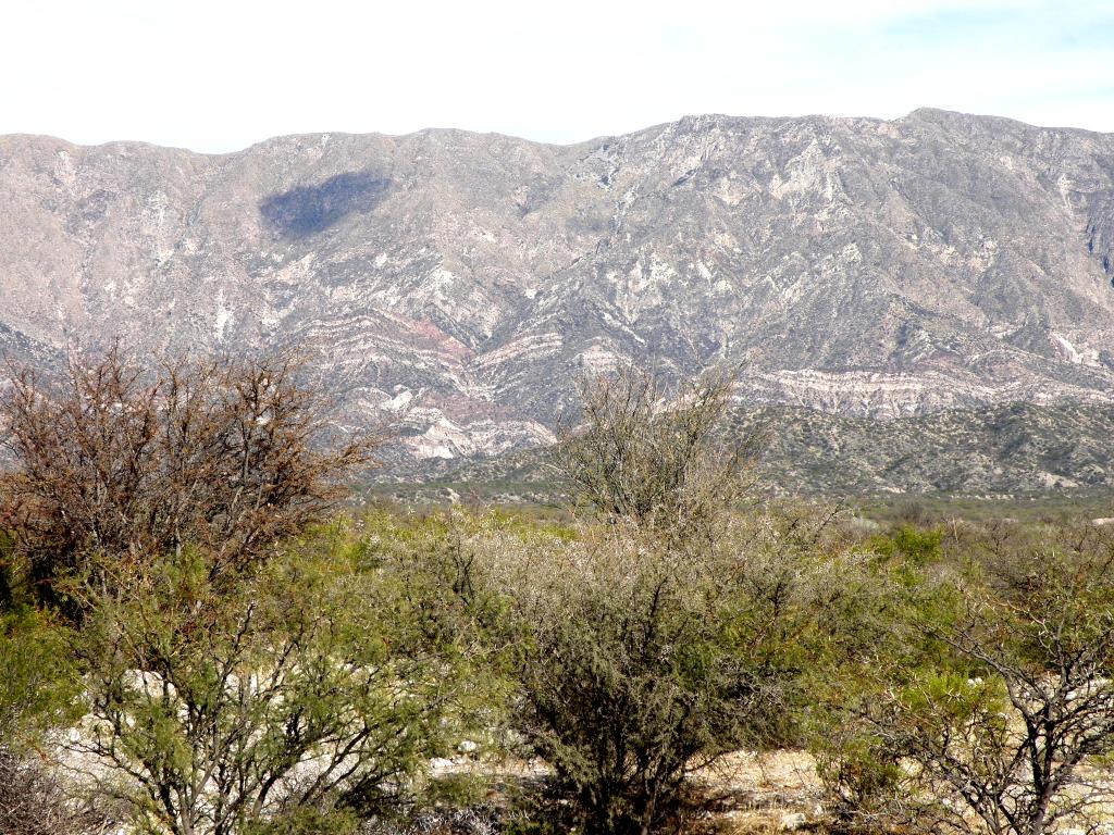 Foto de Guandacol (La Rioja), Argentina