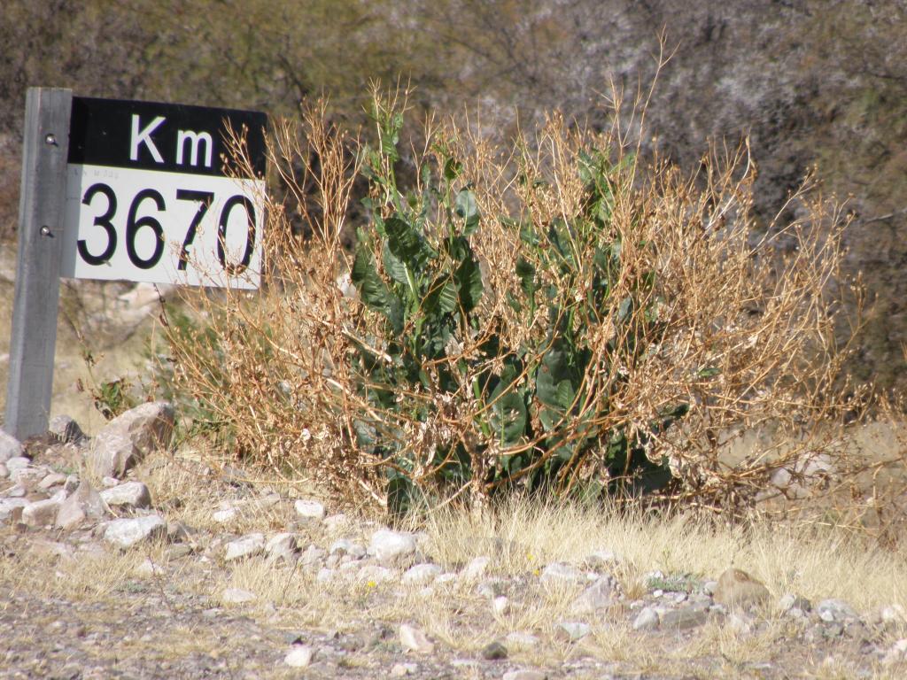 Foto de Guandacol (La Rioja), Argentina