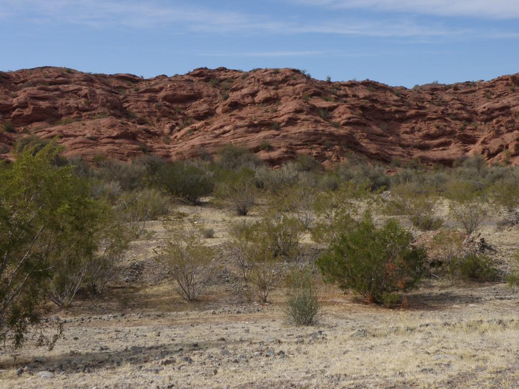 Foto de Guandacol (La Rioja), Argentina