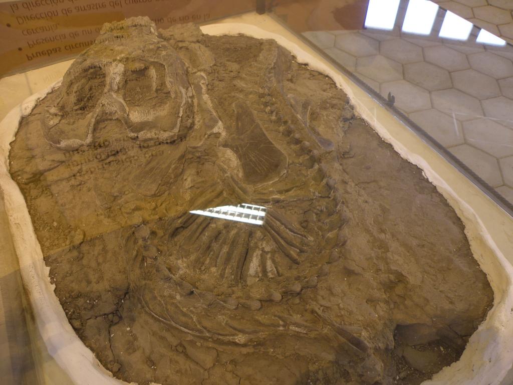 Foto de Ischigualasto (San Juan), Argentina