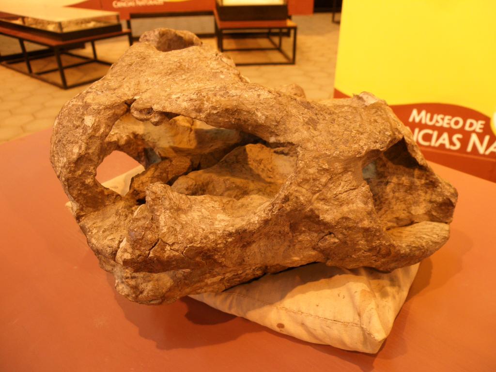 Foto de Ischigualasto (San Juan), Argentina