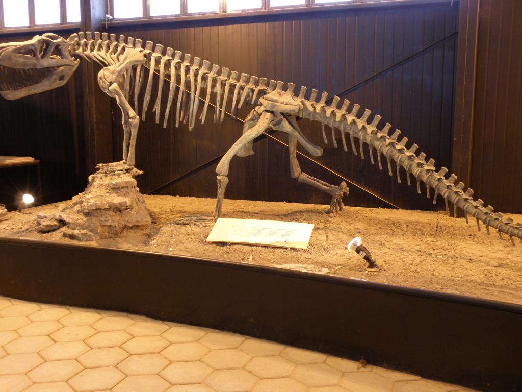 Foto de Ischigualasto (San Juan), Argentina