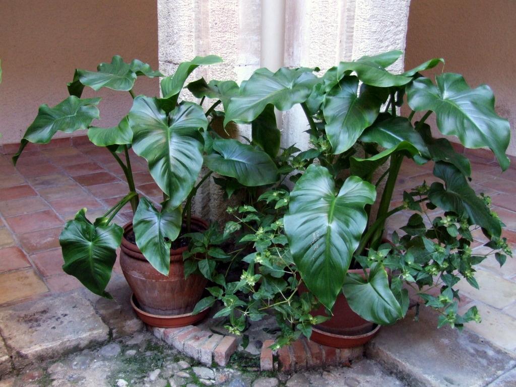 Foto de Yeste (Albacete), España