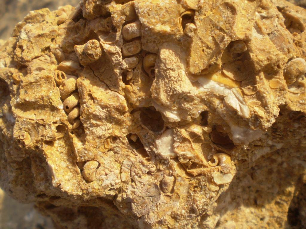 Foto de Puelén, Argentina