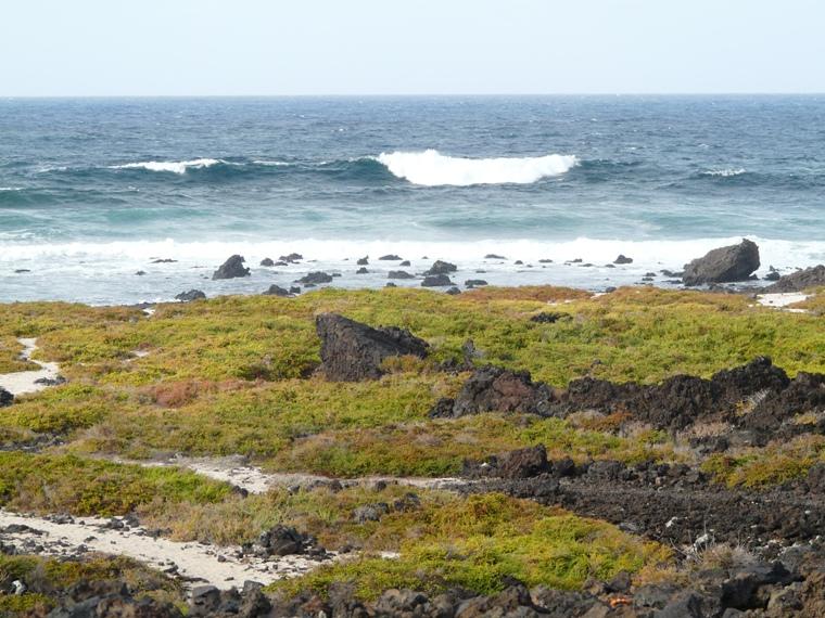 Foto de Lanzarote (Las Palmas), España
