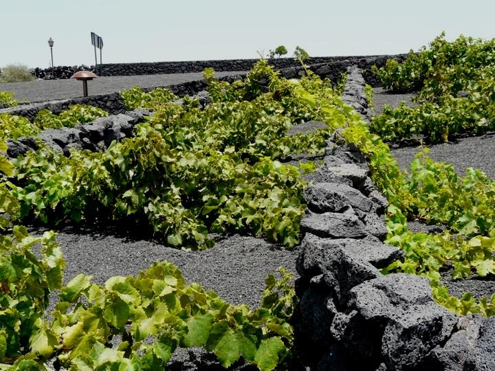 Foto de Lanzarote (Las Palmas), España