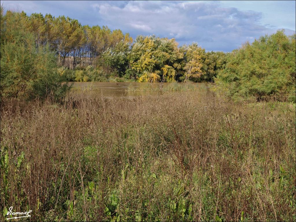 Foto de Alagón (Zaragoza), España