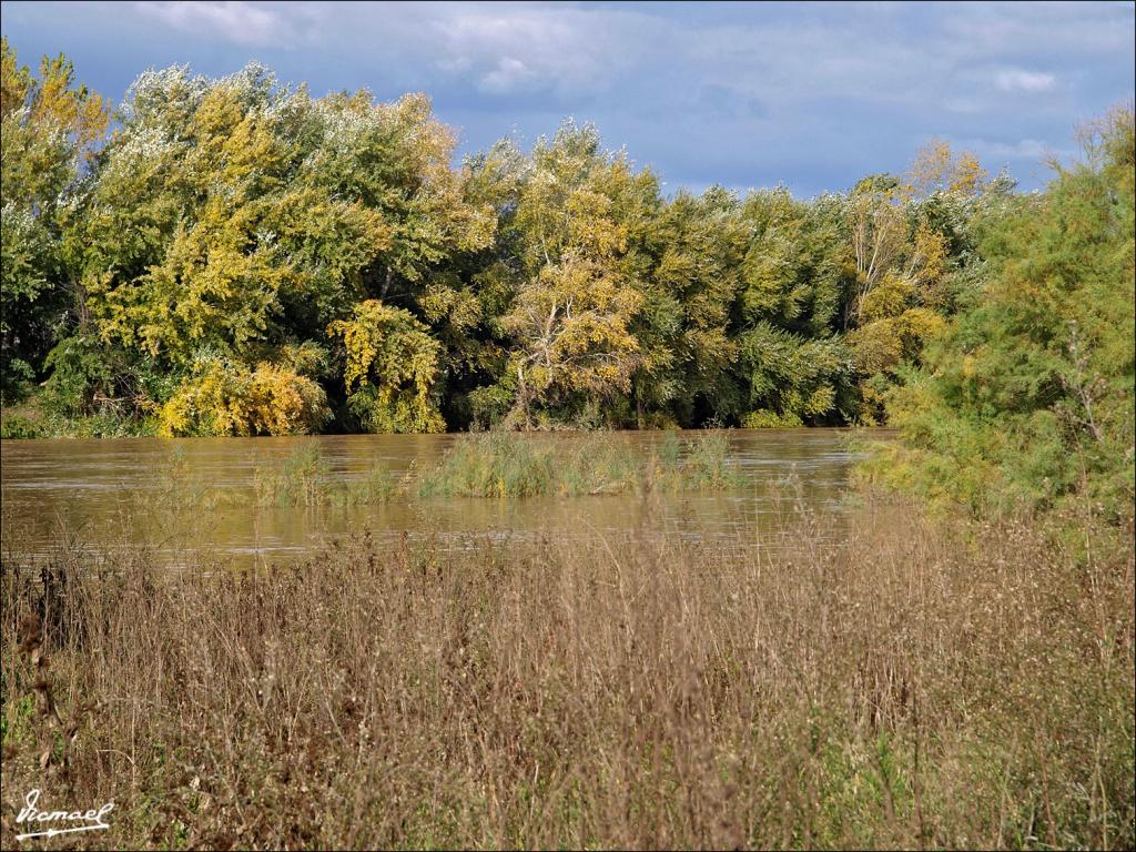 Foto de Alagón (Zaragoza), España