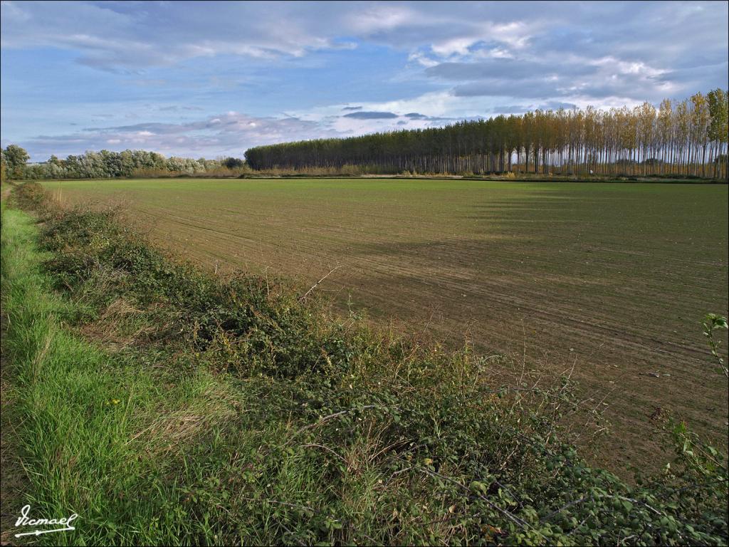 Foto de Alagón (Zaragoza), España