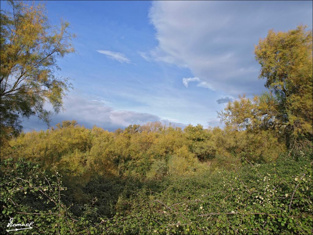 Foto de Alagón (Zaragoza), España