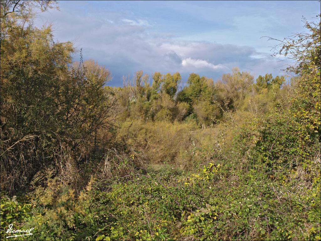 Foto de Alagón (Zaragoza), España