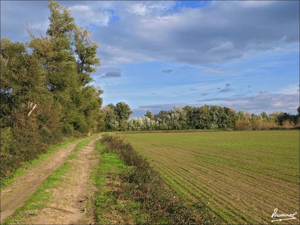 Foto de Alagón (Zaragoza), España