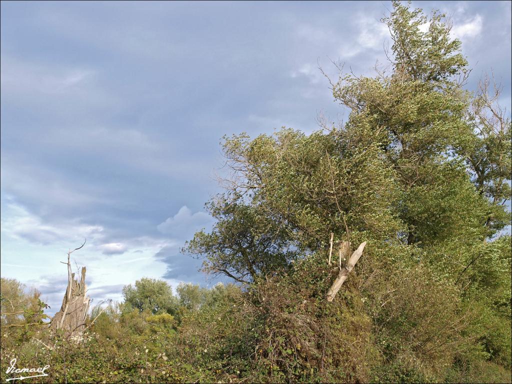 Foto de Alagón (Zaragoza), España