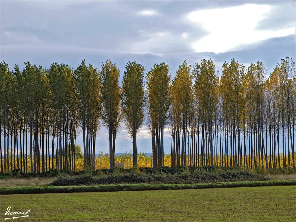 Foto de Alagón (Zaragoza), España
