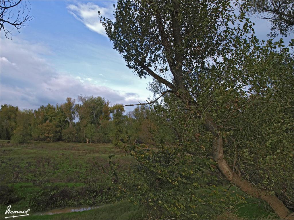 Foto de Alagón (Zaragoza), España